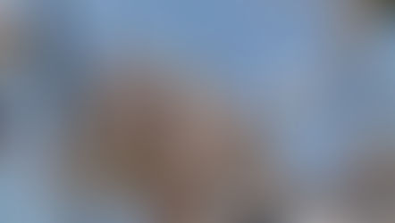 ロングの私が実感した、トリートメントに必死じゃなくなった理由◎