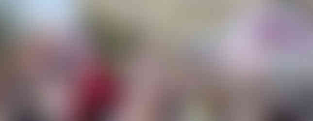 Celebrations in the Streets of Oaxaca