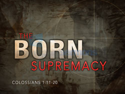 Born_Supremacy.jpeg