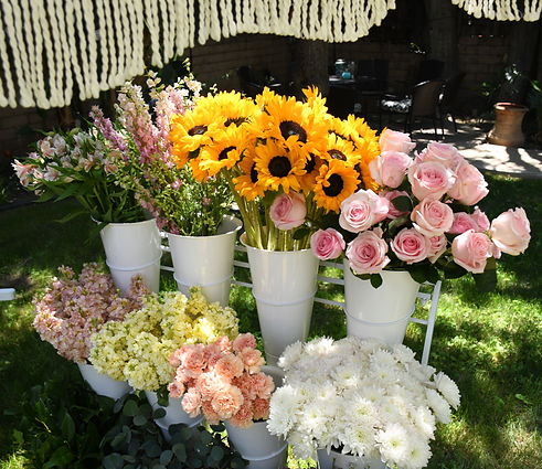 IMG_5535_edited.jpg