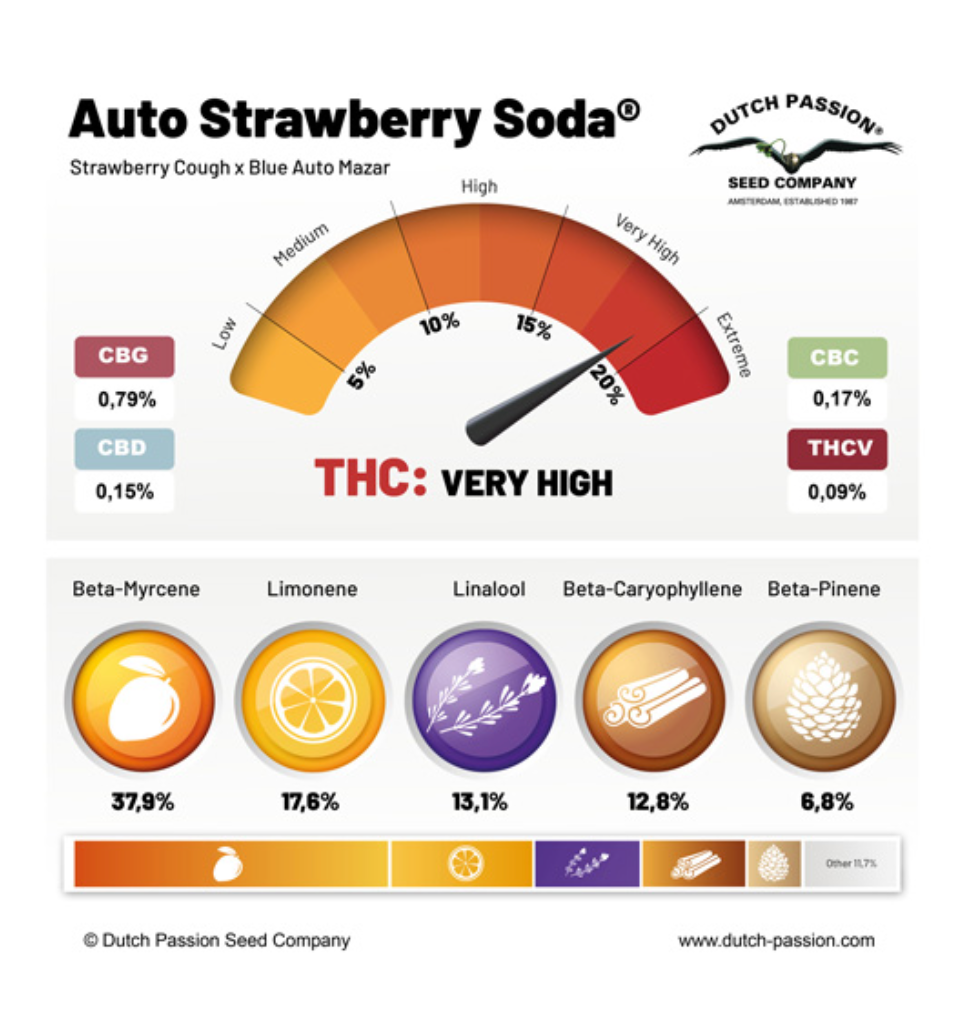 Miniatura: Auto Strawberry Soda