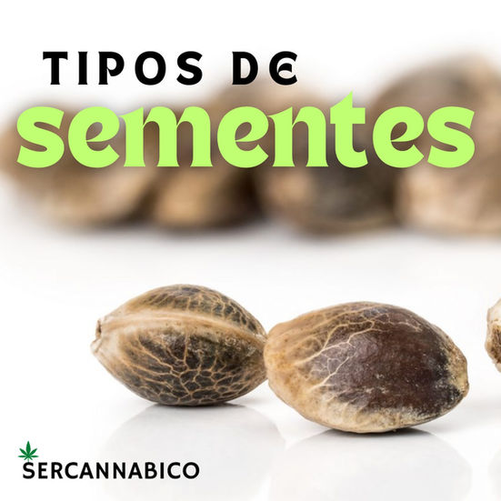 Tipos de sementes