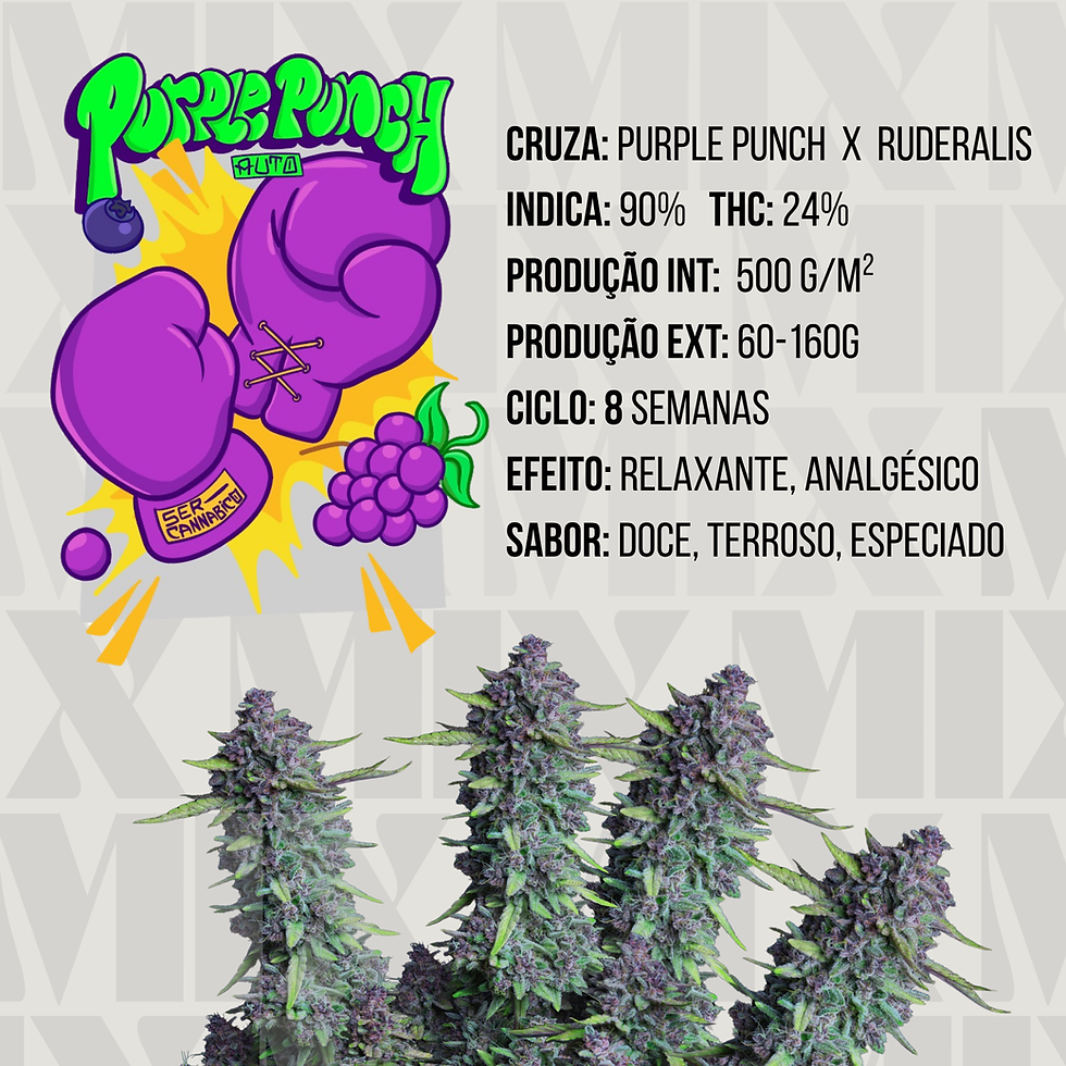 Miniatura: Mix Auto Ser cannabico