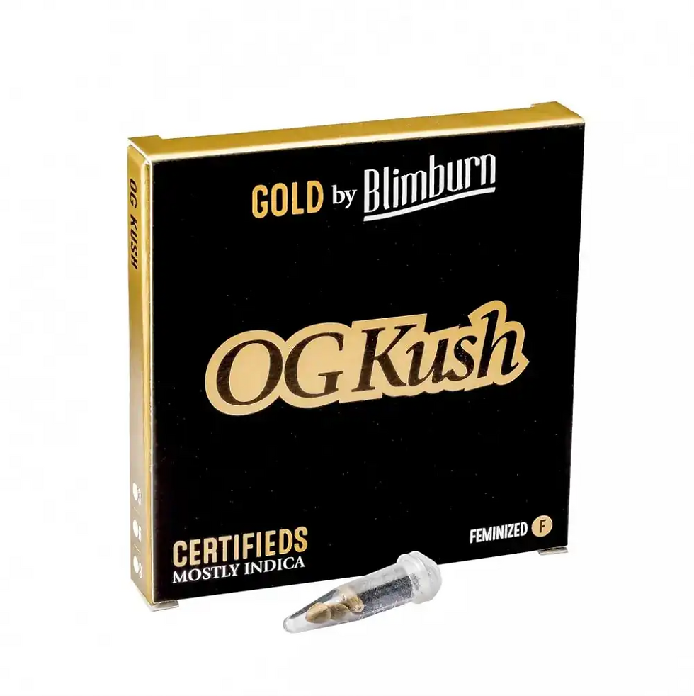 Miniatura: Og Kush