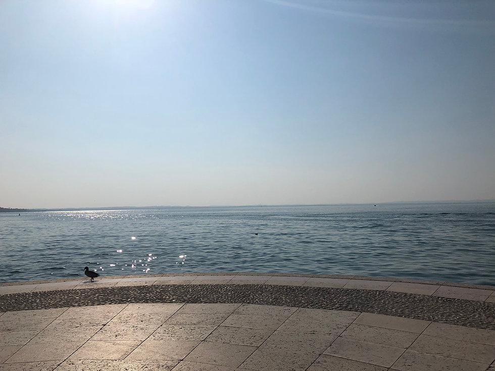 Lazise.jpeg
