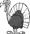 turkus.GIF