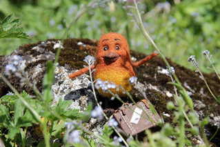 PEEP, PEEP!
