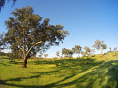 Alentejo Mini Trip