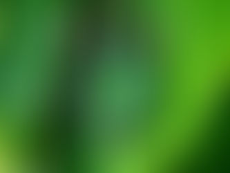 Neue Öffnungszeiten