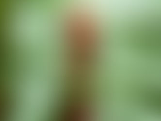 Gemeinsam Weihnachten