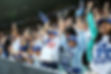 baseball game cheering.jpeg