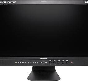 Flanders Scientific BM 210 Контрольный монитор