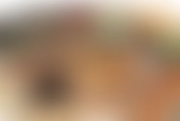 Адаптогени