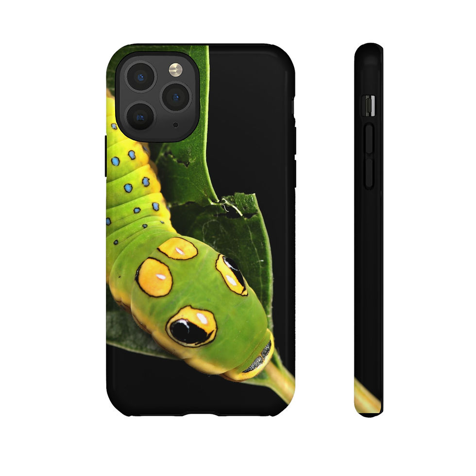 Thumbnail: Spicebush Swallowtail iPhone Case