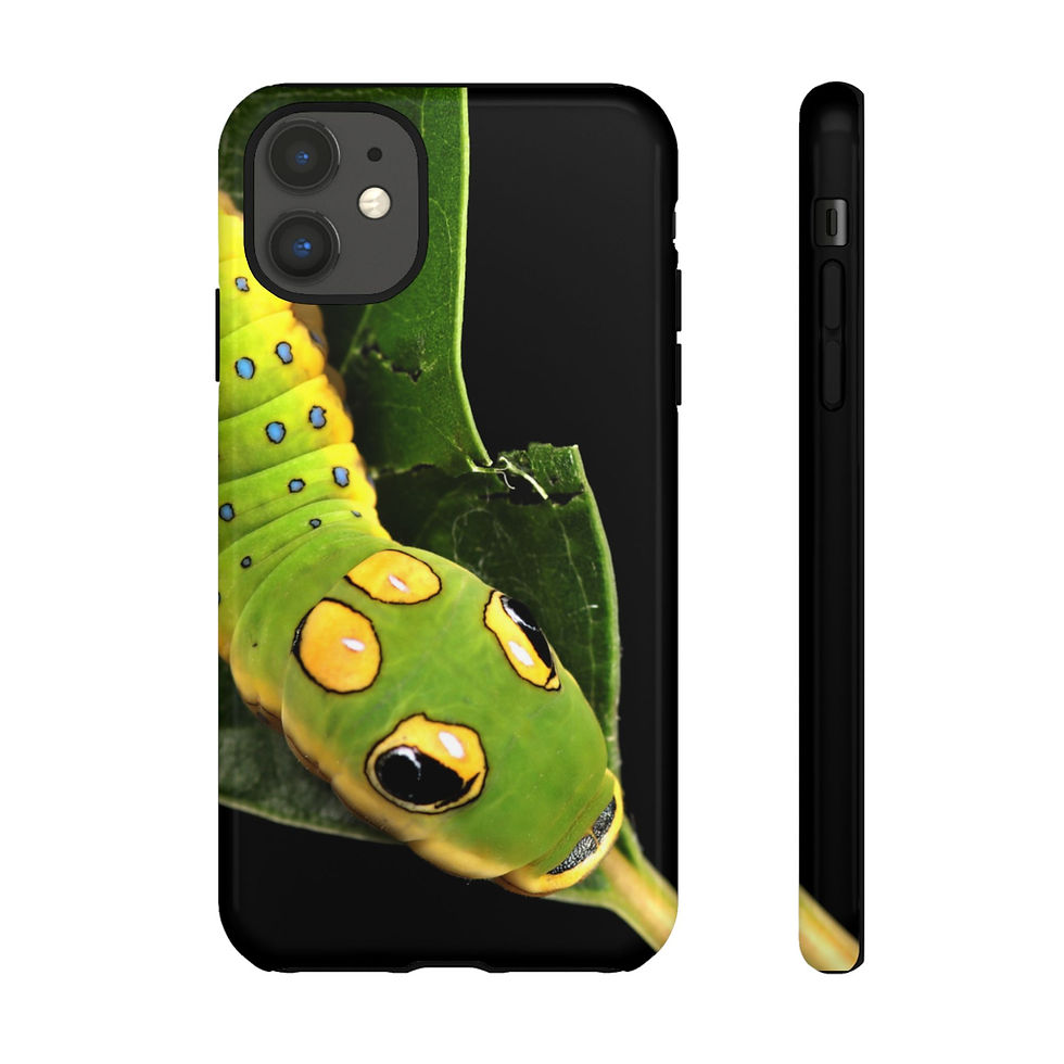 Thumbnail: Spicebush Swallowtail iPhone Case