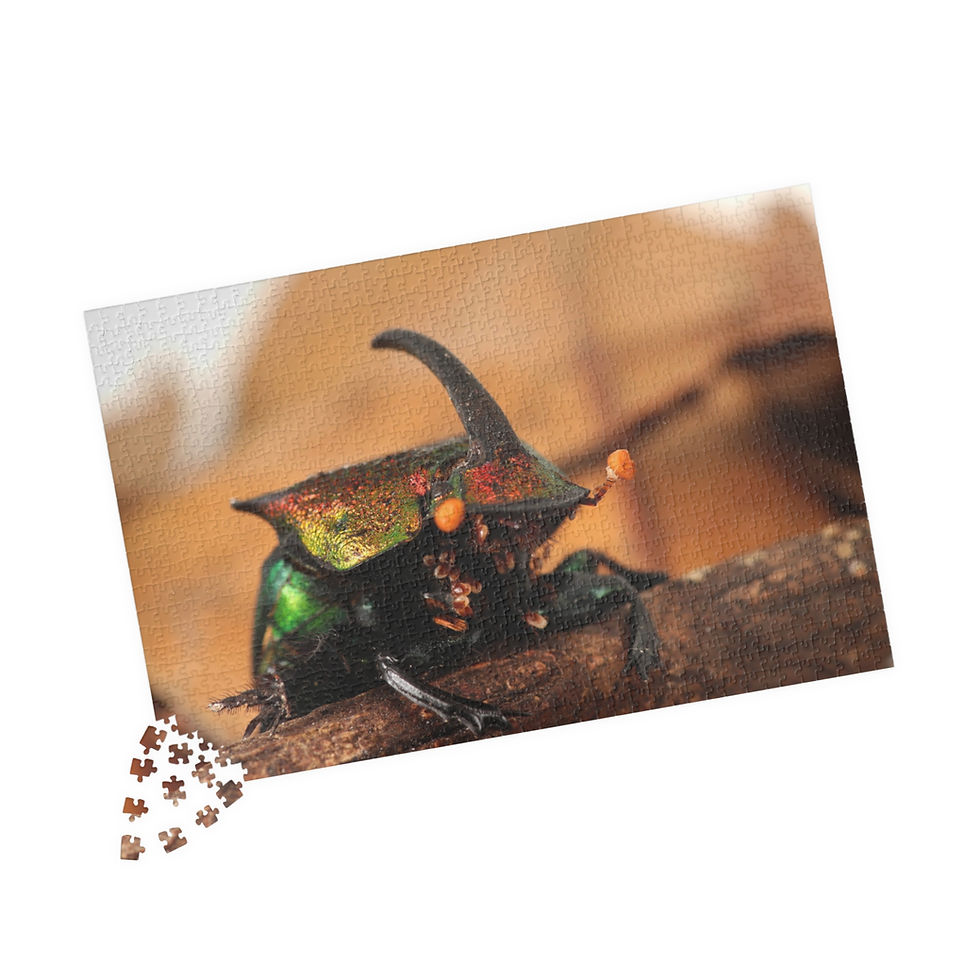 Thumbnail: Rainbow Scarab (Phanaeus vindex) 1014-Piece Jigsaw Puzzle