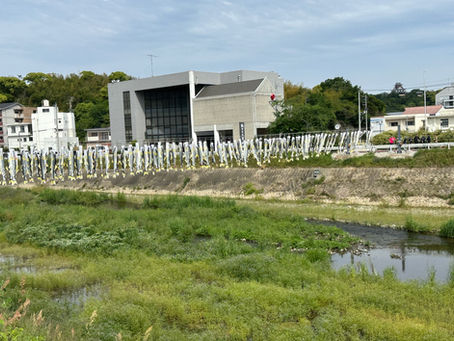 鮎のぼり空へ
