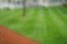Lawn4.jpg