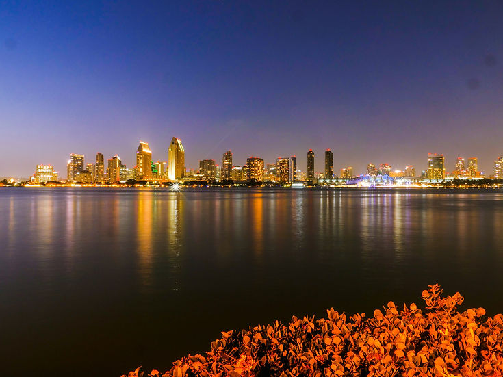 san diego cityscape 2.jpg