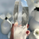 Thumbnail: 1kg , 7.8” Lemurian Quartz Point with 3D Phantom, Pyramidal Glyphs, Time-Link -