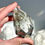 Thumbnail: 2.5" Chlorite Quartz Faceted Free Form - Brazil