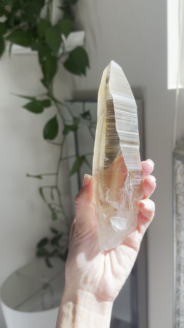 Thumbnail: 7.3” Smoky Lemurian with DEEP Linear Ridges loaded with Pyramidal Glyphs
