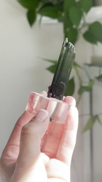 Thumbnail: 2.4” Bi-Color Green / Teal Tourmaline with Lepidolite at the base - Heart Chakra