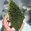Thumbnail: 6.0” Sparkling Forest Green Epidote Druzy with Mini Quartz Crystals
