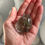 Thumbnail: 2.0” RARE Dreamy Purple and Green Lodolite Shamanic Dream Lens - Garden Quartz 