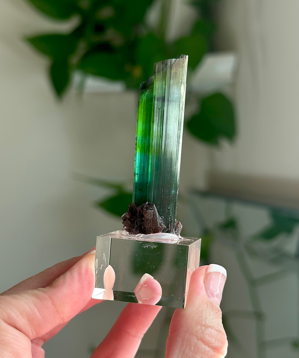 Thumbnail: 2.4” Bi-Color Green / Teal Tourmaline with Lepidolite at the base - Heart Chakra