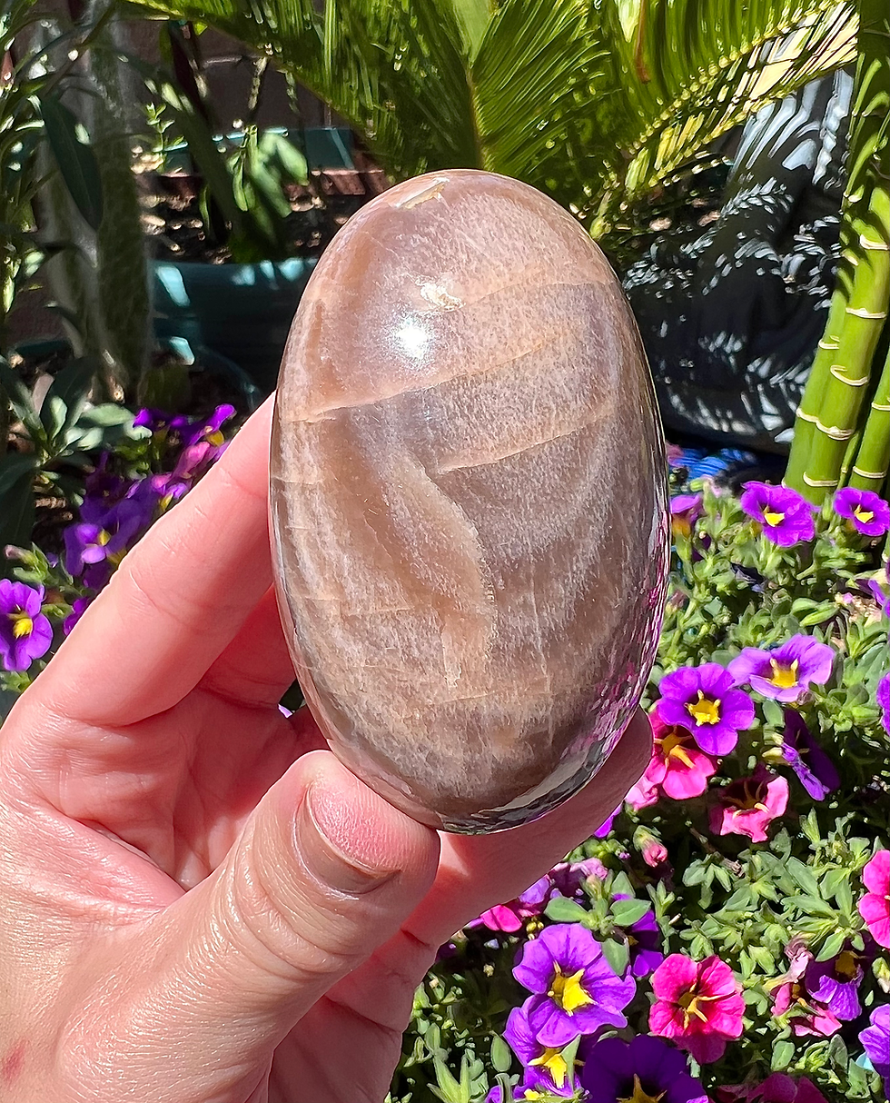 Thumbnail: 2.9” Chocolate Moonstone Shiva with Deep Sheen  - India