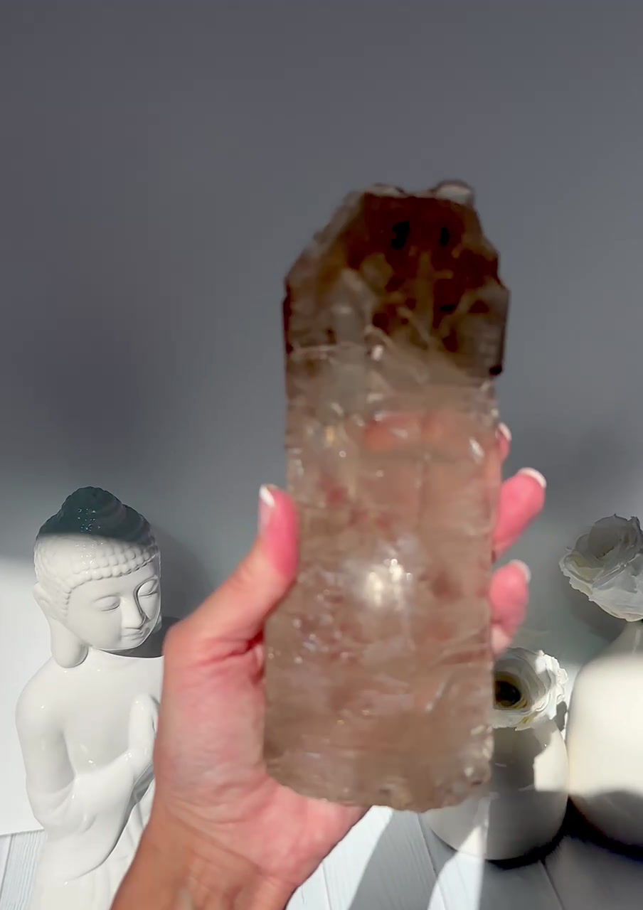 Thumbnail: 6.8” Smoky Quartz Multi-Dimensional Elestial - Minas Gerais , Brazil
