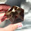 Thumbnail: 2.0" Smoky Lemurian Quartz Icosahedron - Brazil
