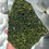 Thumbnail: 6.0” Sparkling Forest Green Epidote Druzy with Mini Quartz Crystals