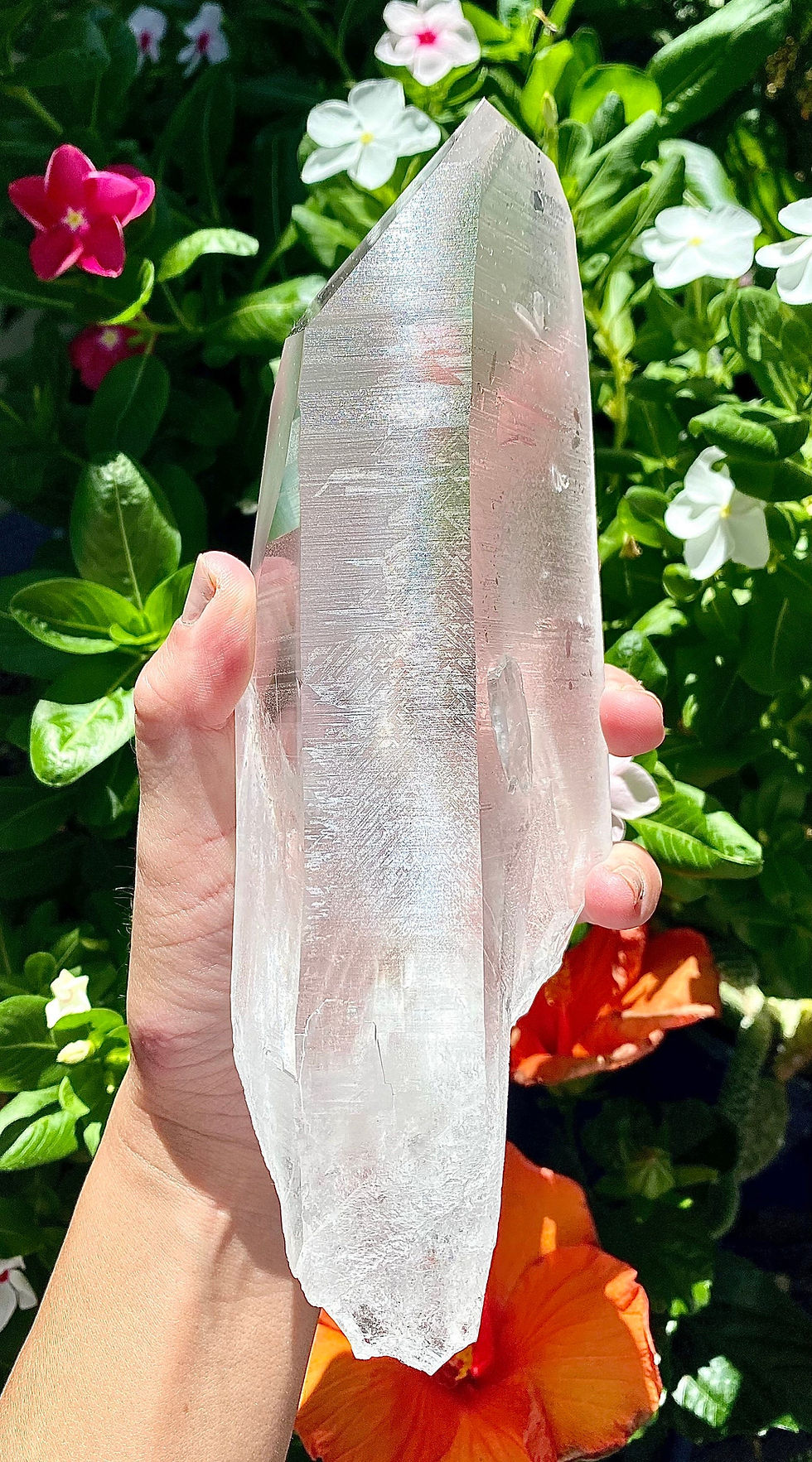 Thumbnail: 1.1kg 8.4” Lemurian with Window, Inner Child and Barnacle Crystals