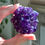 Thumbnail: 2.4” Deep Purple Amethyst Rosette Cluster - Uruguay