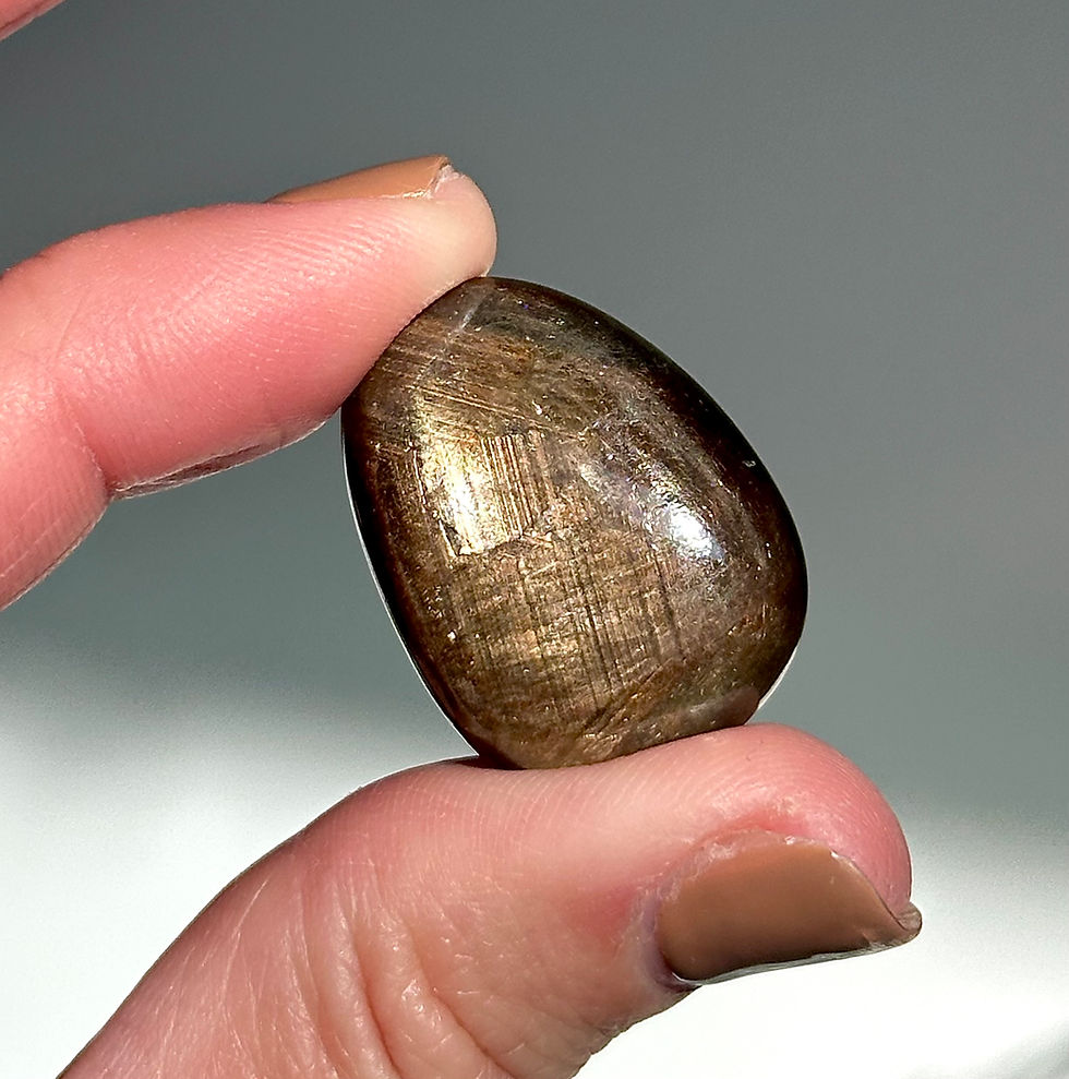 Thumbnail: 1.1” Rare Bronze Sapphire Palm Stone - India