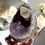 Thumbnail: 1kg , 4.5” VERY RARE Amethyst Stand with Etched Calcite Point - Uruguay