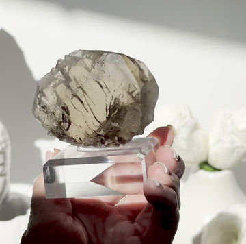 Thumbnail: 2.8” Smoky Quartz Gwindle - Hasli Valley, Bern, Switzerland 