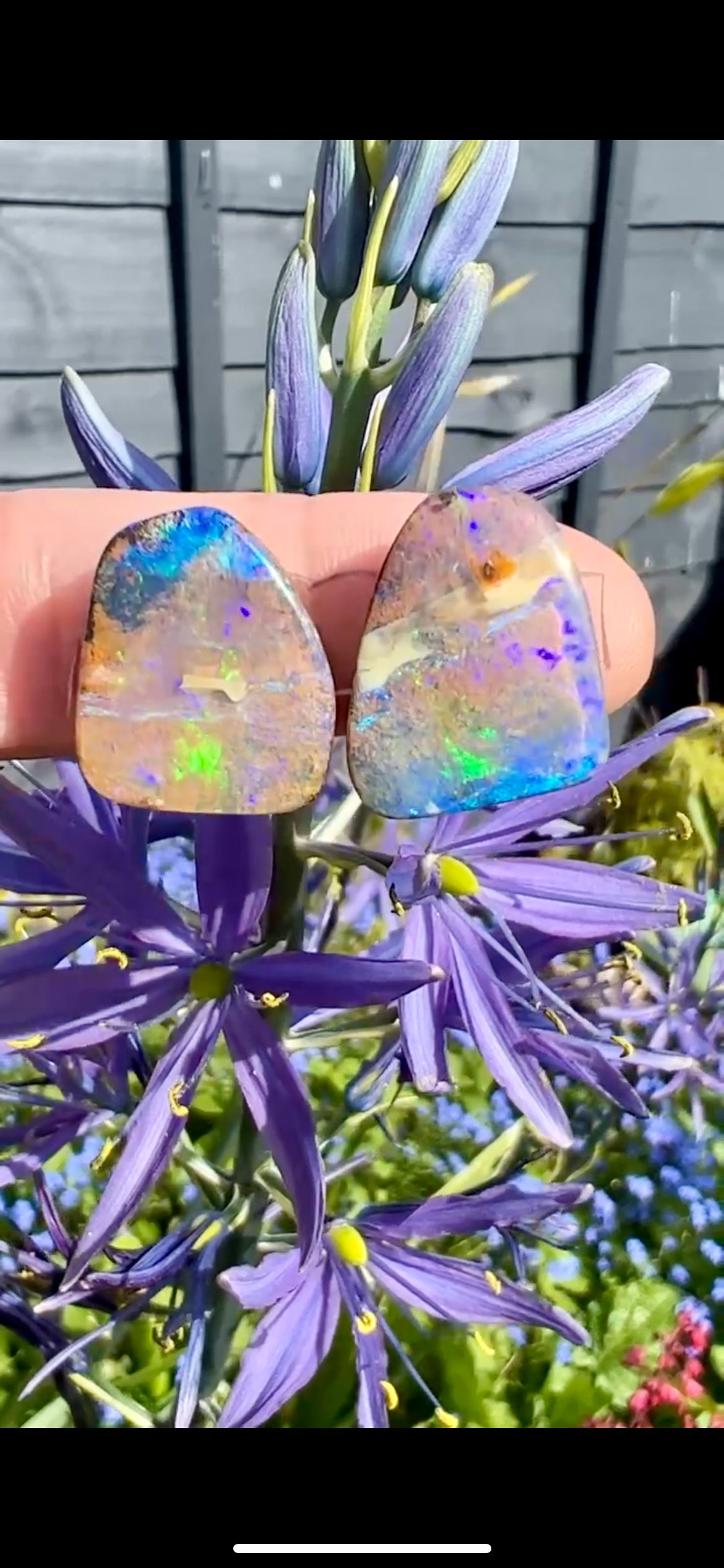 Sandy Banks - Earrings