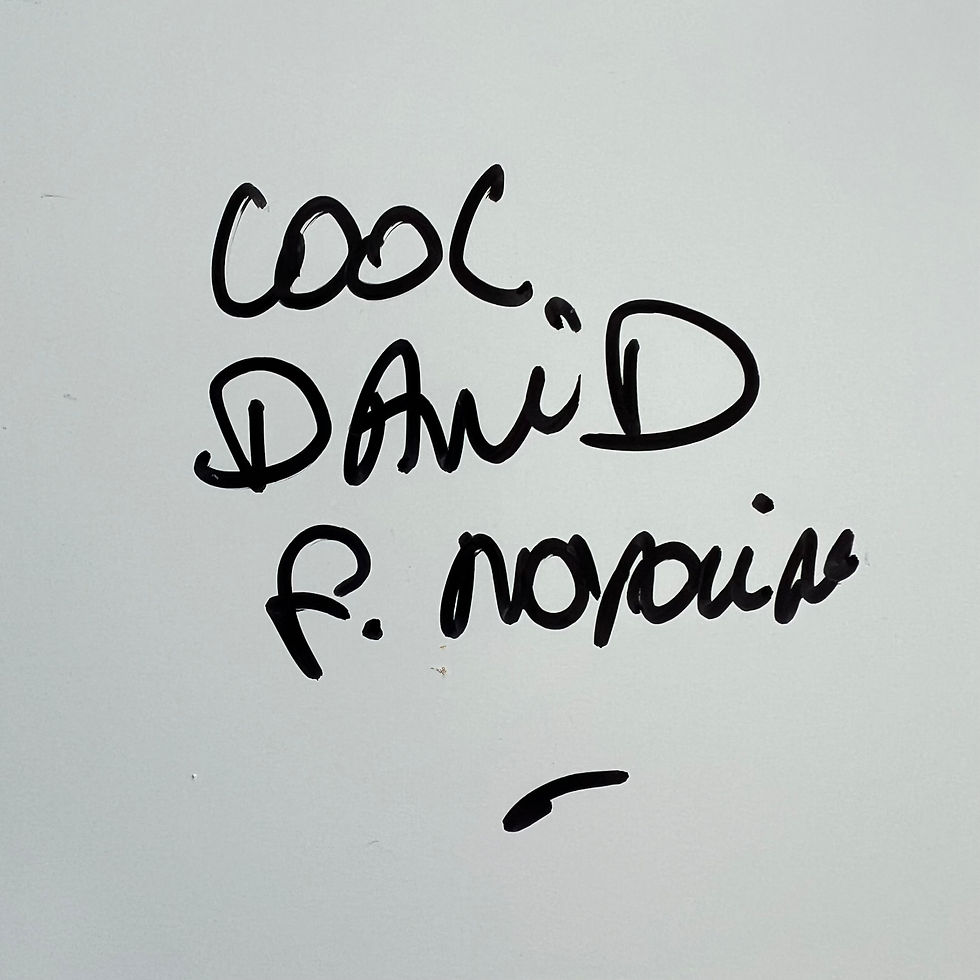 Miniature : COOL DAVID 13 X 13