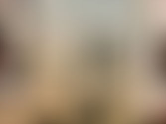 The Finding of the Mayflower