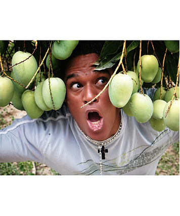 Edgard con mango peruano.png