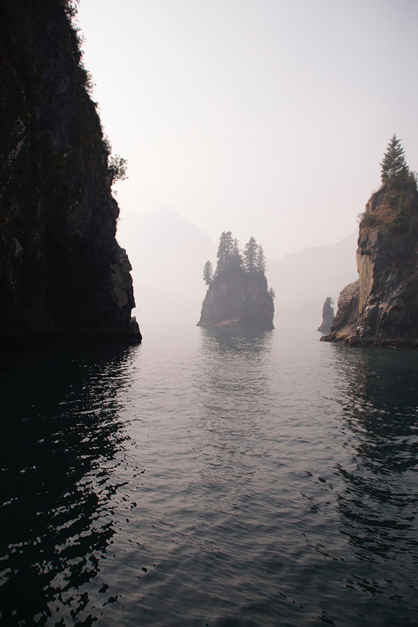 cdff9b84946771.5d6d51f02274f