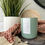 Thumbnail: Cypress + Sage