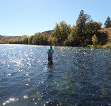 truckee fly