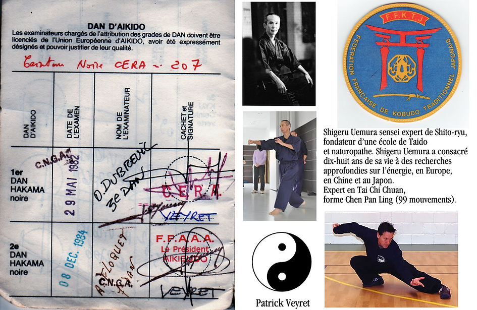 Affichette passport Shigeru.jpg