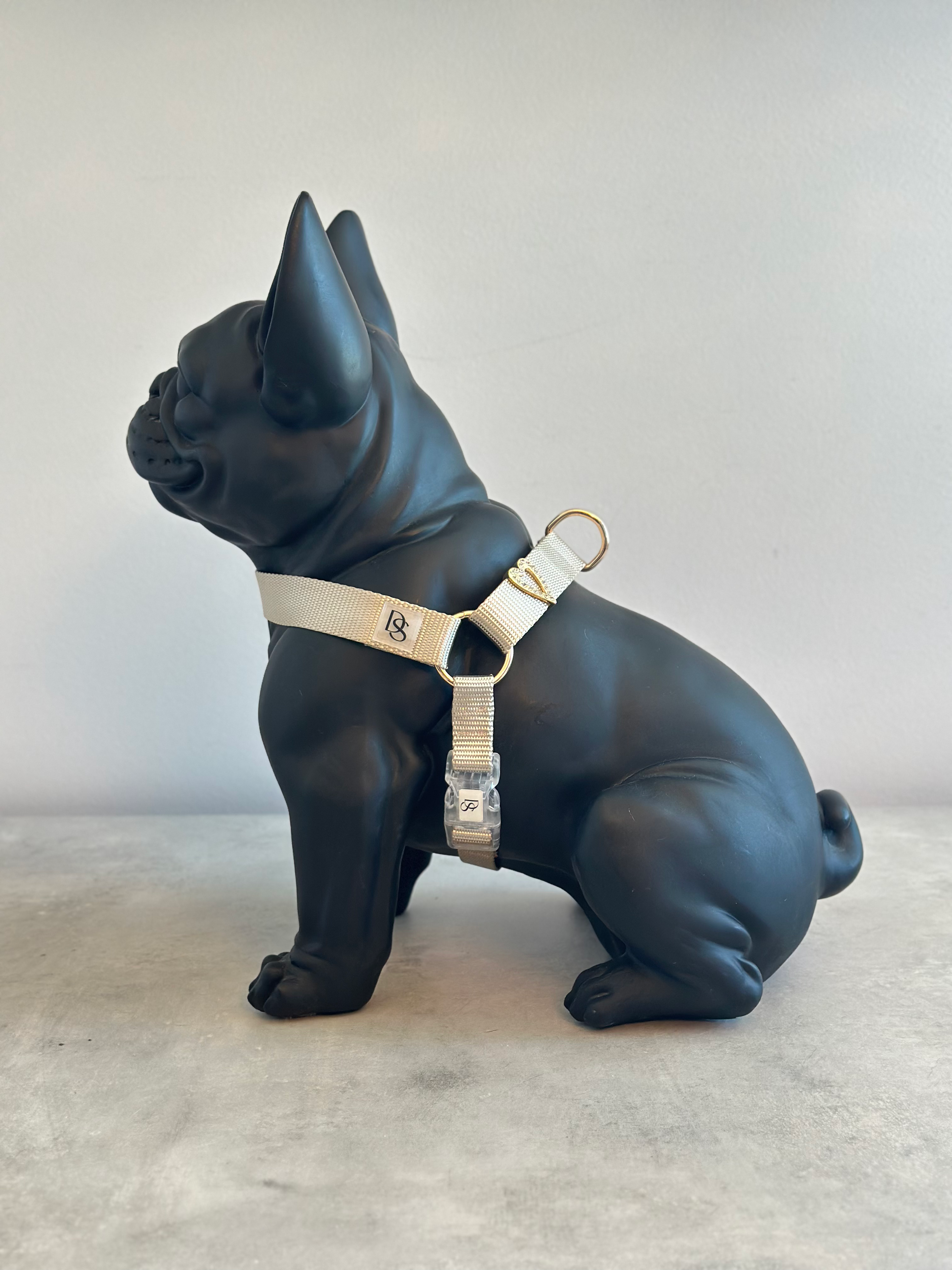 CHAMPAGNE HARNESS