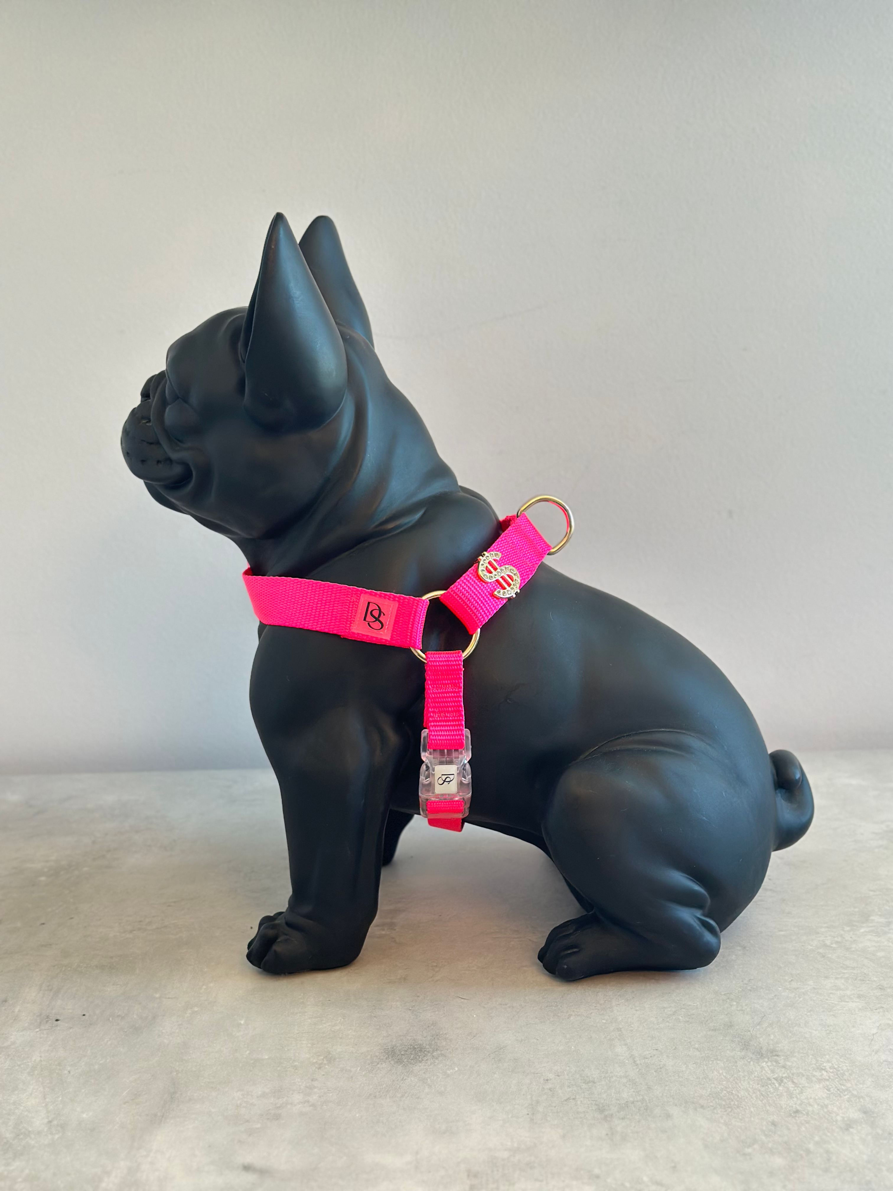 NEON HARNESS