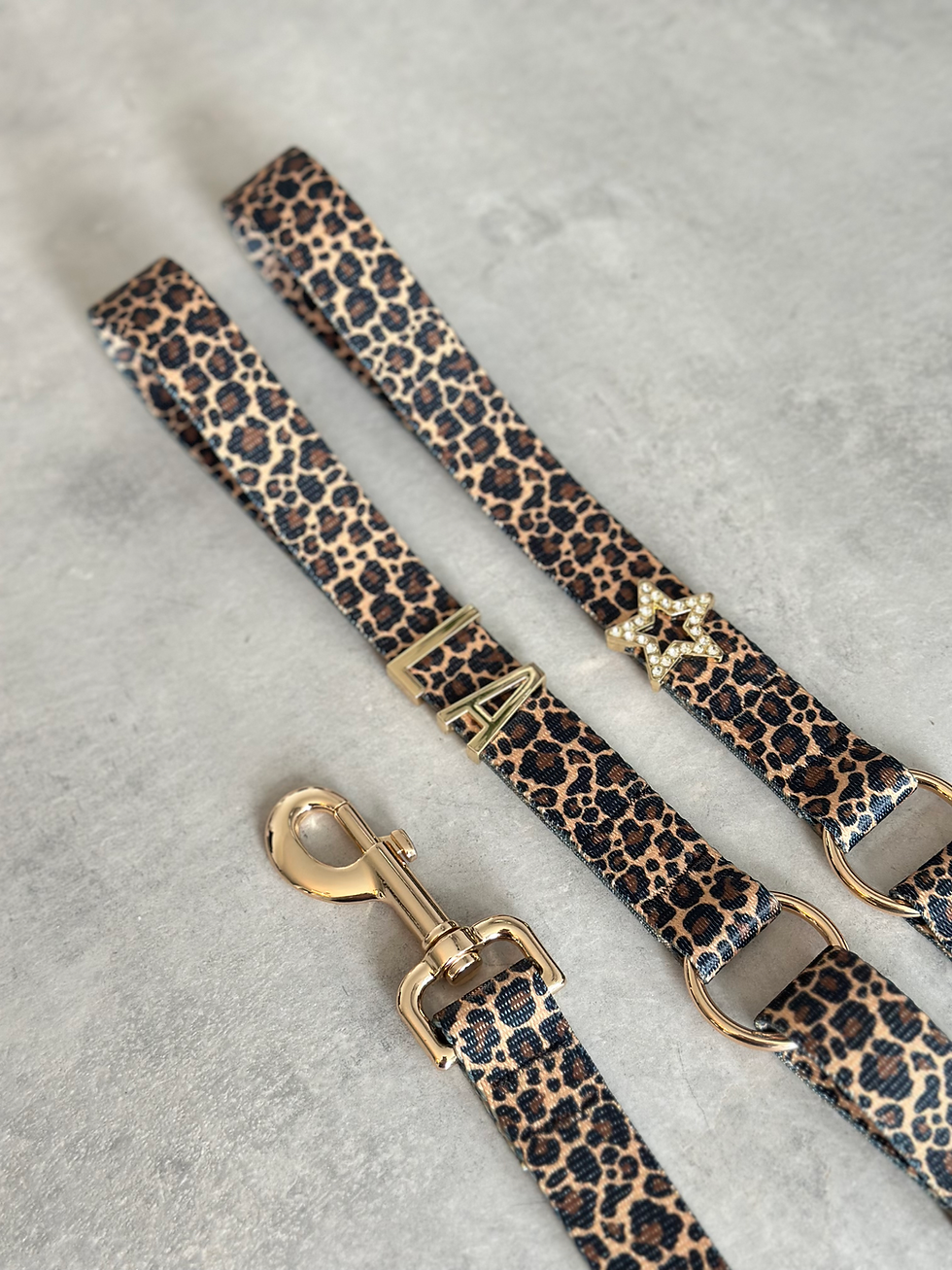 Thumbnail: WILD SIDE LEASH